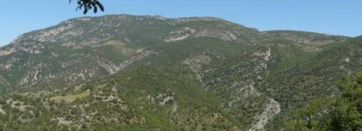 Camí de Trepadús