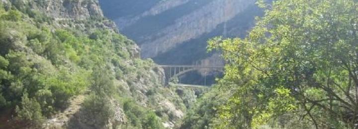Camí del Barranc del Bosc