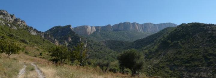 Camí de Miralles a Coll de Llastarri