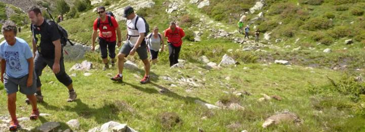 Guided tours from the accommodation