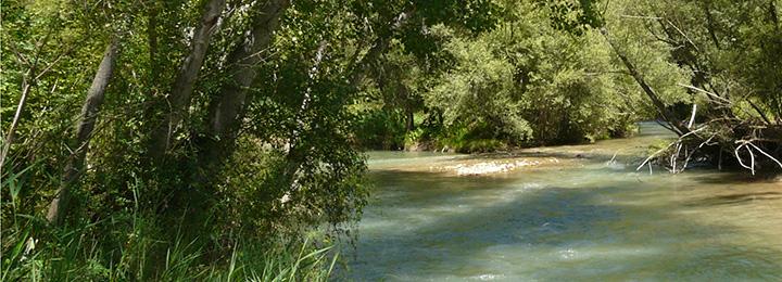 Itinerari de natura Verneda de Palau