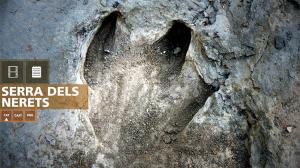 Els jaciments dels Nerets i de Suterranya són declarats bé cultural d’interès nacional